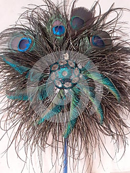 Peacock feather for decoration The peacock has long, green feathers